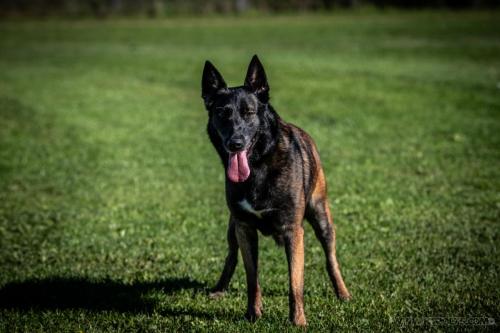 20241004-Nala5