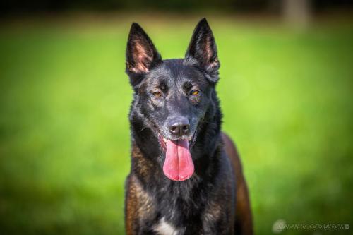 20241120-Nala4