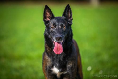 20241120-Nala5