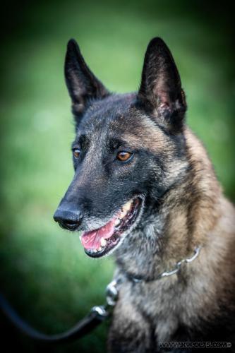 20241120-Osko1