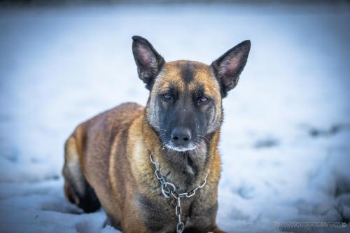 20241122-IMG 5516