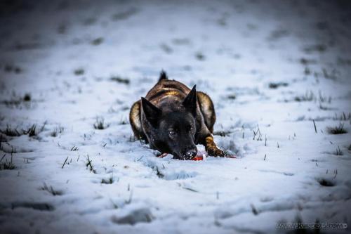 20241122-Nala3