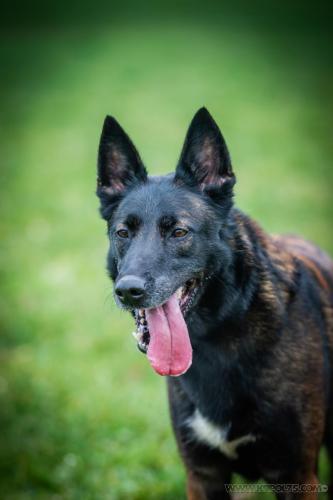 20241212-Nala1