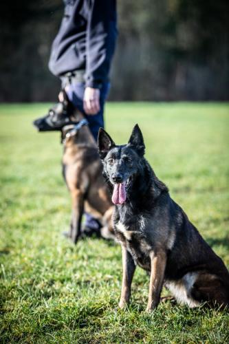 20241220-Nala-Preston1