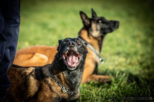 20241220-Preston-Suna1