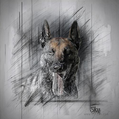 Sky-Art-06102024-