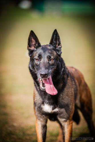 20250220-Nala4