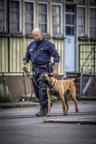 20250517-DemoENPP11-Patrocle