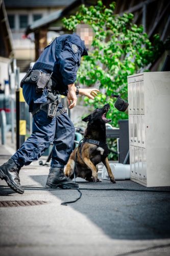 20250517-DemoENPP14-Nala