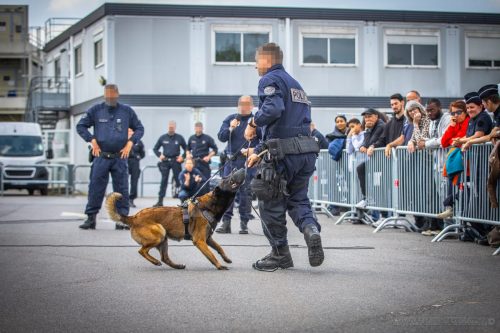 20250517-DemoENPP16Nala