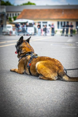 20250517-DemoENPP19Nala