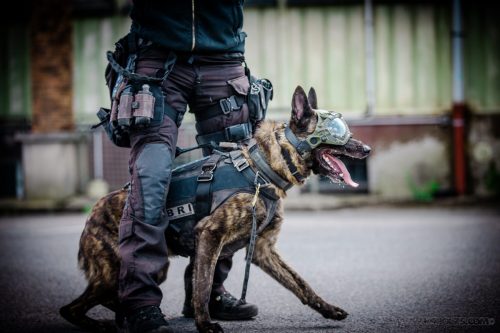 20250517-DemoENPP20Swat