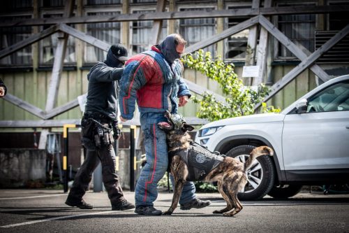 20250517-DemoENPP21Swat