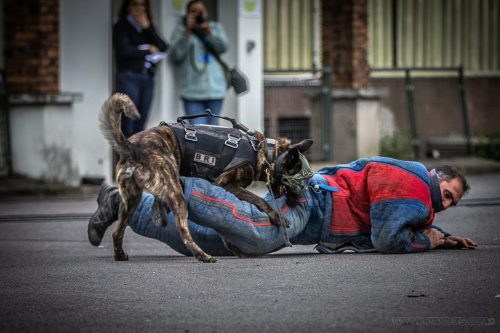 20250517-DemoENPP38Swat