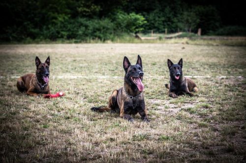 20250606-Ice-Preston-Uta1