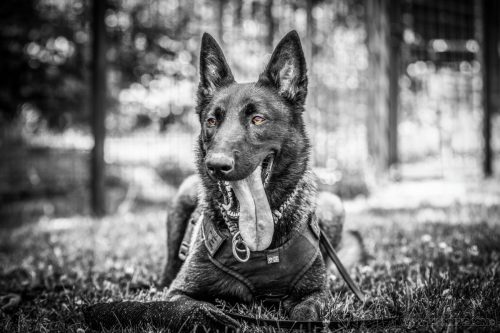 20250618-Uta-Blkandwhte