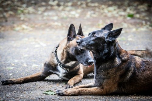 20250623-RagnarNala1