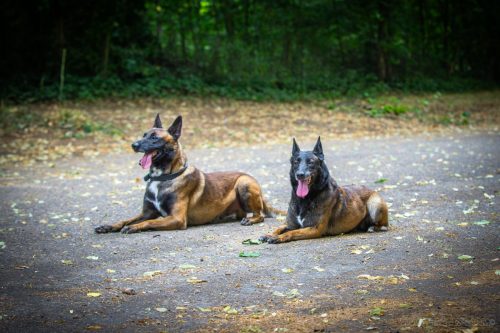 20250623-RagnarNala3