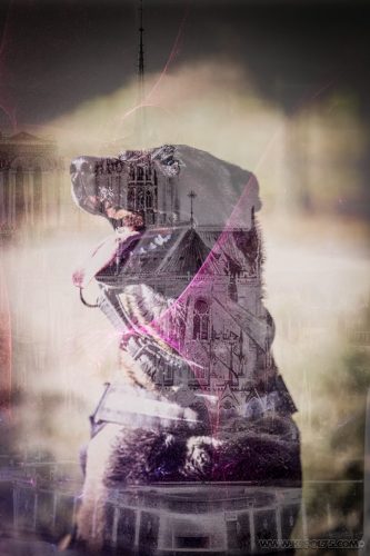 2025-08-03-Pandora-art