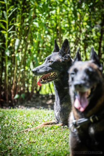 20250710-Pandora-Nala2