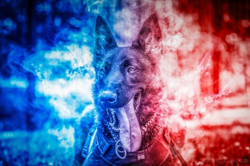 20250713-Uta14juillet