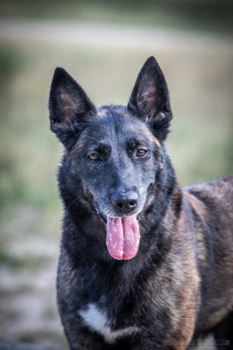 20250718-Nala2
