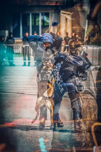 20250720-DemoENPP-k9pol75art-2025