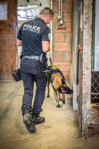 20250814-Ragnar11-k9pol75