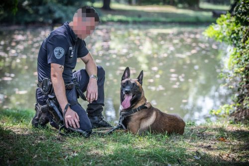 20250814-Ragnar3-k9pol75