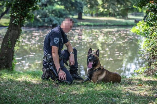 20250814-Ragnar4.-k9pol75jpg