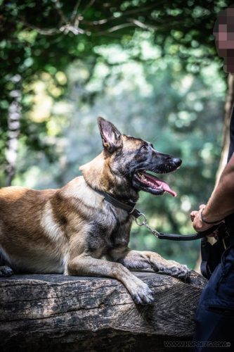 20250814-Urkan10-k9pol75