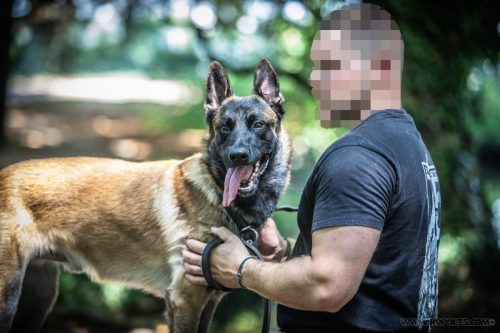 20250814-Urkan13-k9pol75