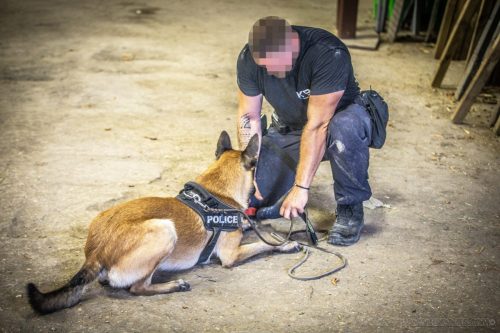 20250814-Urkan20-k9pol75