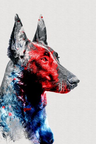 20250914-Aika-k9pol75ar-2t