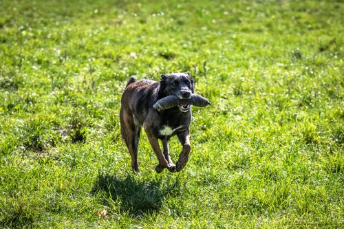 20250930-Nala520250930-Nala5