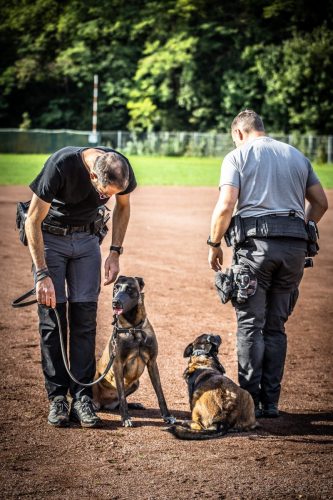 20251002-Nala Pandora