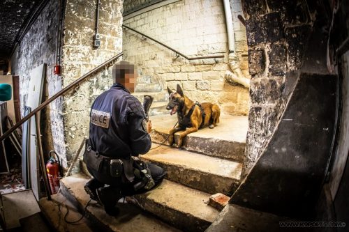 20251024-IMG 4808-Edit