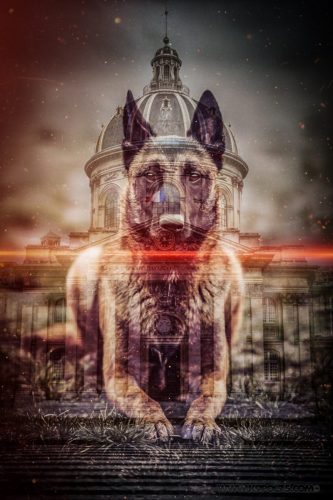 20251221-InstitutFrGohan