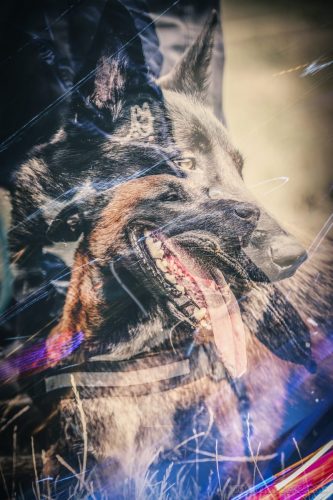 24072025-Rag-uta-art