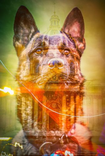 Institut de France with its iconic dome in Paris