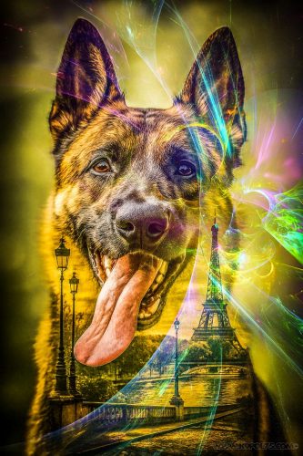 Urkan-Art-k9pol75Fract-2108202-