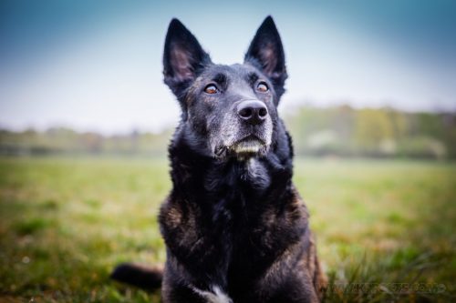 01042026-Nala3