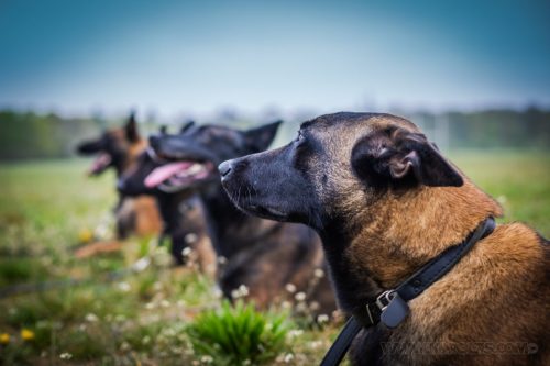 01042026-grpeStambi-Aika