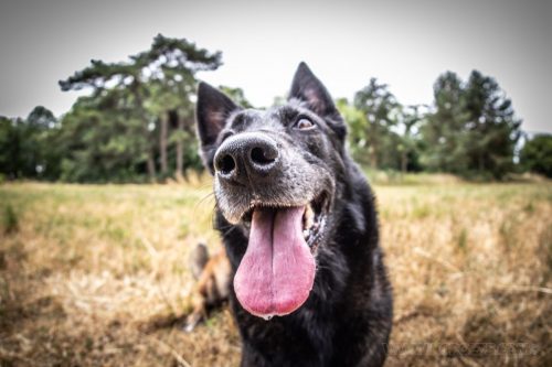 02072026-Nala14