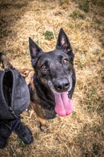 02072026-Nala3