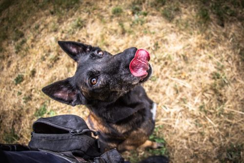 02072026-Nala5