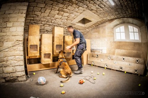 03072026-Vortex2