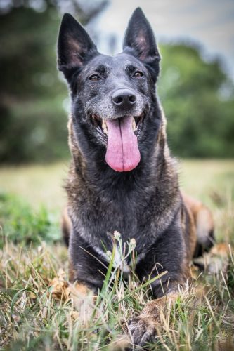 03092026-Nala2