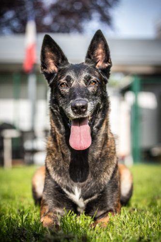 03092026-Nala3