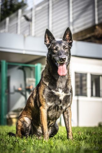 03092026-Nala4